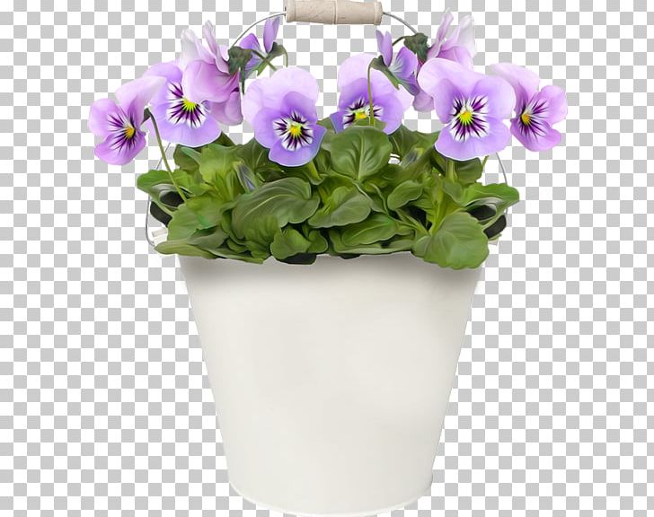Pansy Flower PNG, Clipart, Aubretia, Blume, Dahlia, Flower, Flowering Plant Free PNG Download