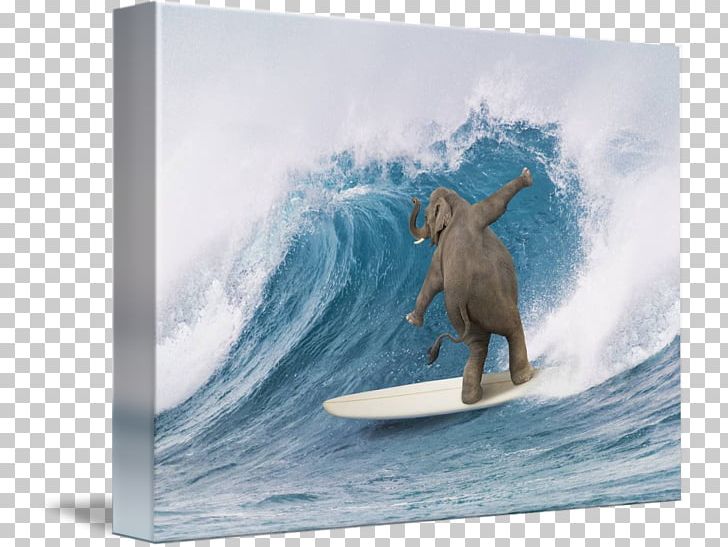 Surfing Surfboard Elephant Longboarding PNG, Clipart,  Free PNG Download