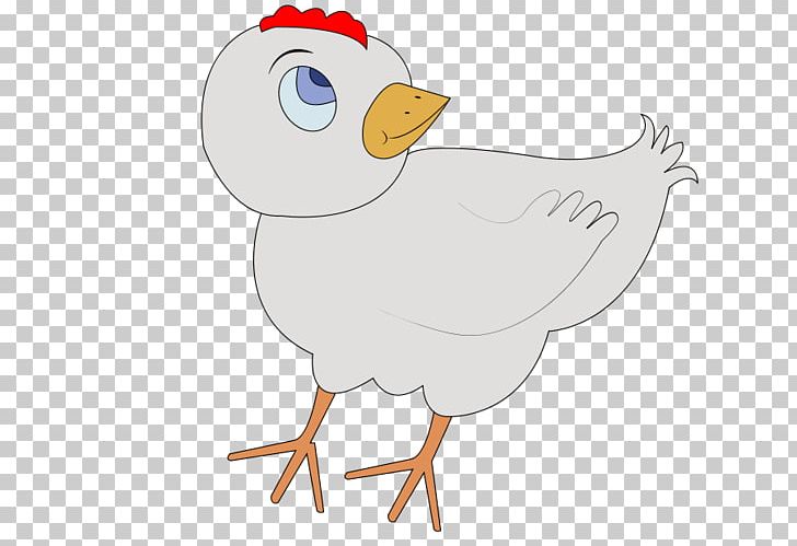 Chicken Drawing PNG, Clipart, Animation, Beak, Bird, Chicken, Chicken Meat Free PNG Download