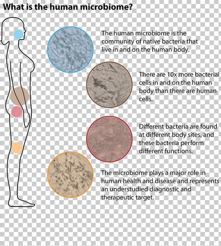 Human Microbiota Pregnancy Disease Health PNG, Clipart, Area, Bacteria, Birth, Childbirth, Diagram Free PNG Download