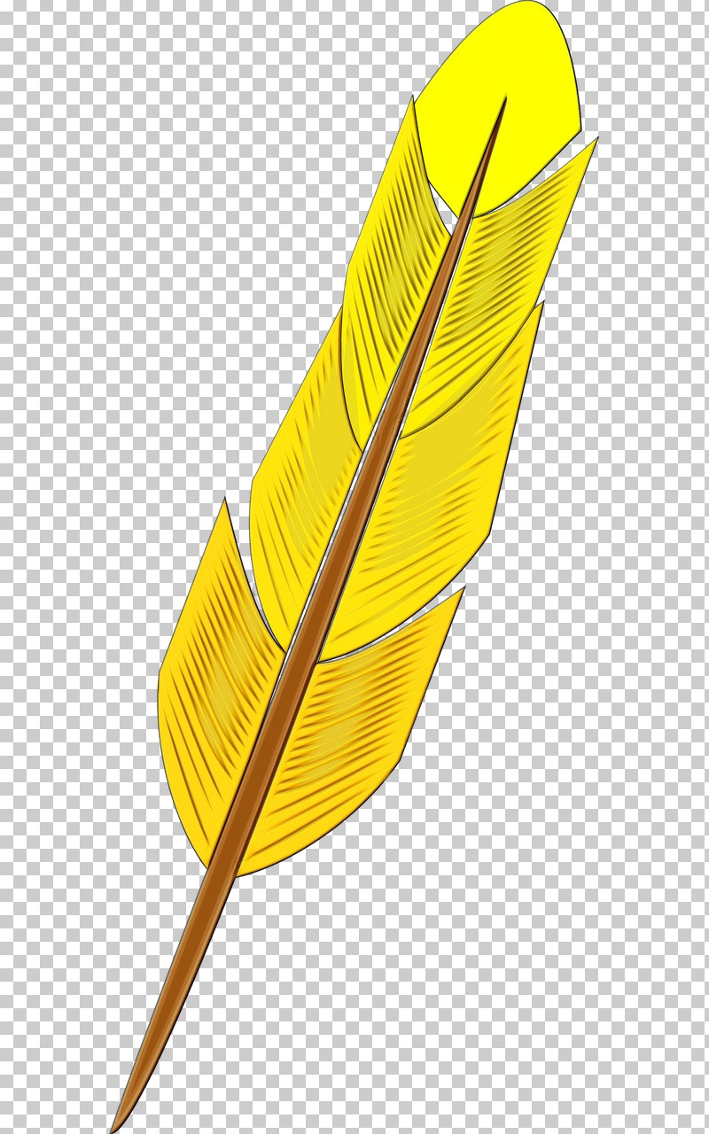 Feather PNG, Clipart, Biology, Feather, Geometry, Leaf, Line Free PNG Download