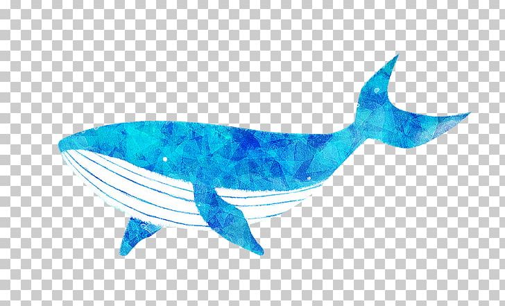 Blue Whale Cartoon PNG, Clipart, Animals, Aqua, Azure, Blue, Blue Abstract Free PNG Download