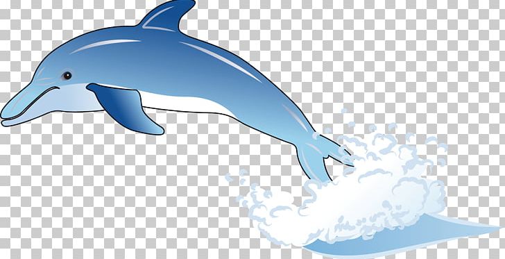 Common Bottlenose Dolphin Wholphin Tucuxi Cartoon PNG, Clipart, Animals, Blue, Cartoon, Dolphin, Dolphins Free PNG Download