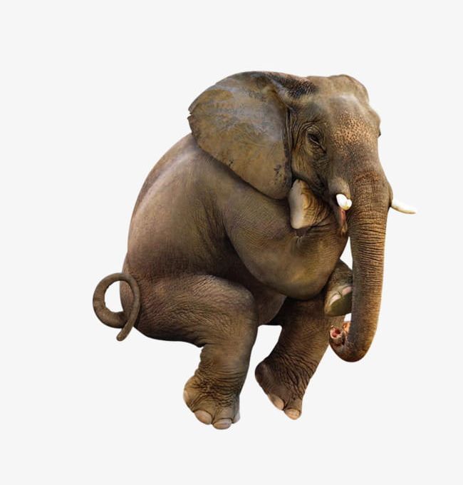 Cute Elephant PNG, Clipart, Animal, Cute, Cute Clipart, Cute Clipart, Cute Elephant Free PNG Download