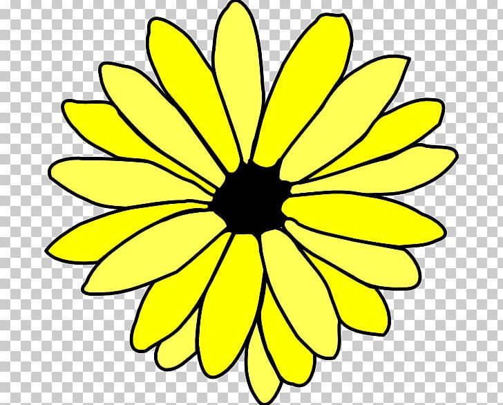 Flower Drawing Common Daisy PNG, Clipart, Artwork, Black And White, Chrysanths, Common Daisy, Cut Flowers Free PNG Download