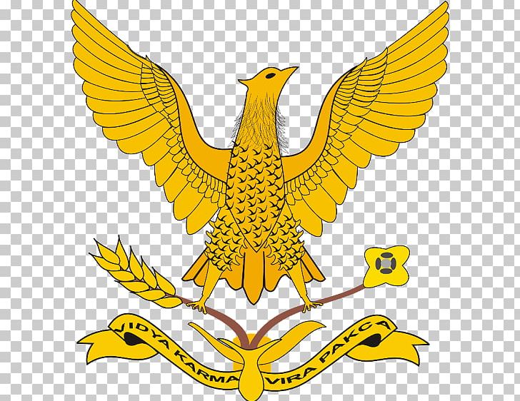 Indonesian Air Force Academy Indonesian National Armed Forces Yogyakarta PNG, Clipart, Academy, Air Chief Marshal, Air Force, Akademi, Army Officer Free PNG Download