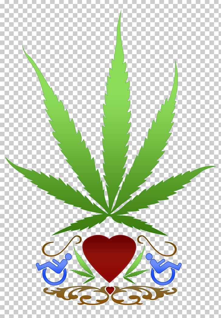 Medical Cannabis Cannabis Sativa Marijuana PNG, Clipart, Cannabis, Cannabis Sativa, Cannabis Smoking, Drug, Flowering Plant Free PNG Download