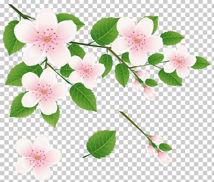 Branch Tree PNG, Clipart, Blossom, Branch, Cherry Blossom, Clip Art, Clipart Free PNG Download