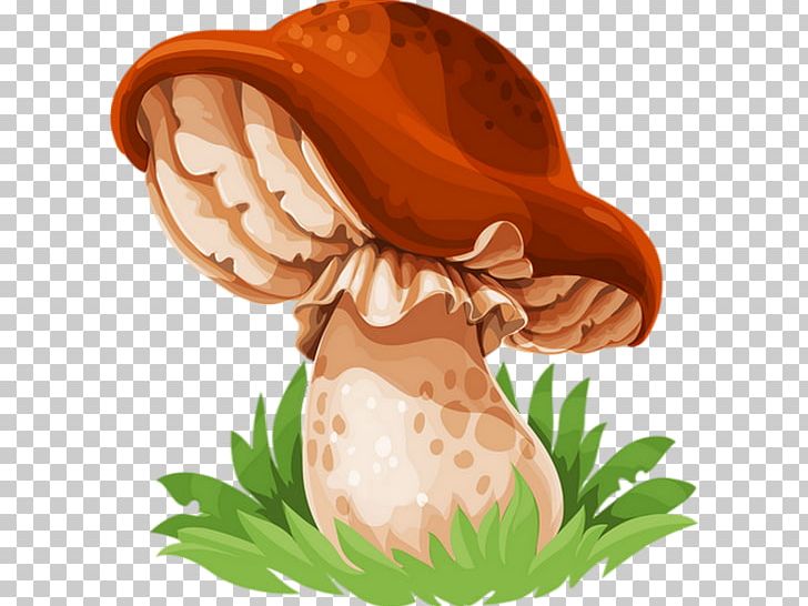Edible Mushroom Drawing Mushroom Festival Fungus PNG, Clipart, Cartoon, Common Mushroom, Drawing, Edible, Edible Mushroom Free PNG Download