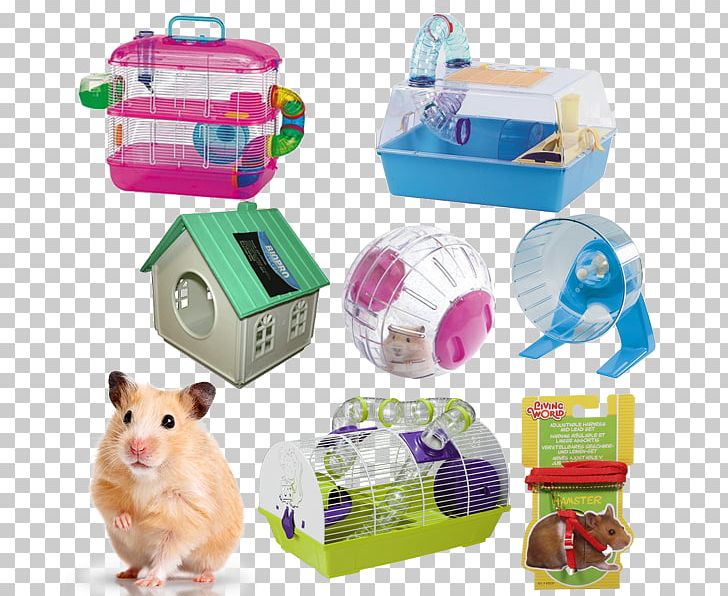 Hamster Cage Hamster Cage Djungarian Hamster Voltrega Spt SL PNG, Clipart, Animal, Box, Cage, Djungarian Hamster, Floor Free PNG Download