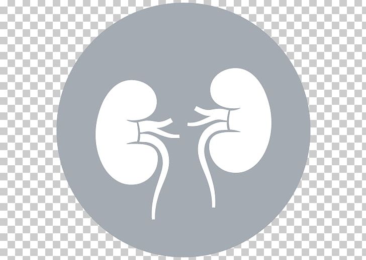 Kidney Computer Icons Medicine Organ Cancer PNG, Clipart, Cancer, Circle, Computer Icons, Excretory System, Kidney Free PNG Download