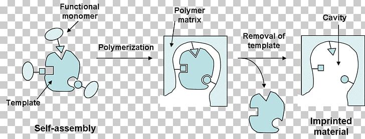 Molecularly Imprinted Polymer Molecule Molecular Imprinting Molecular Configuration PNG, Clipart, Angle, Area, Cartoon, Chemical Compound, Chemistry Free PNG Download