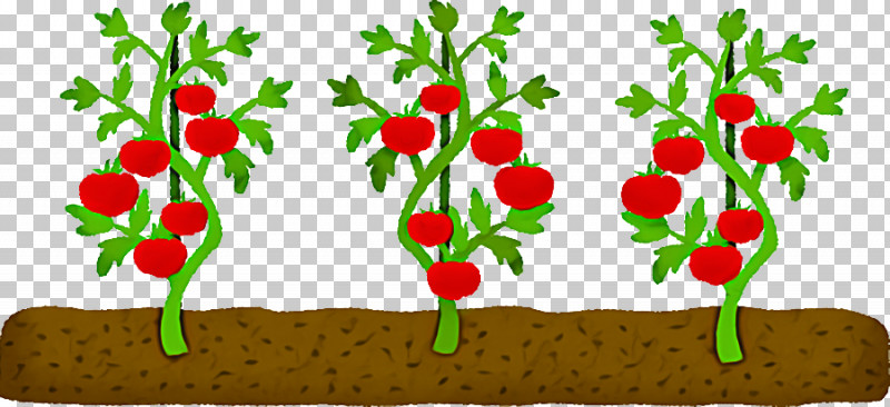 Floral Design PNG, Clipart, Bell Pepper, Biology, Chili Pepper, Floral Design, Flowerpot Free PNG Download