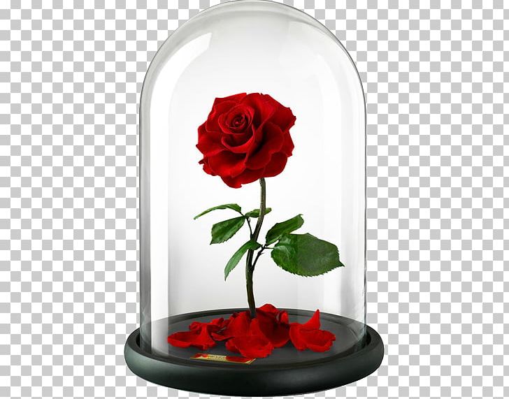 Belle Beast Rose United Kingdom Flower PNG, Clipart, Beauty And The Beast, Cut Flowers, Enchanted, Floristry, Flowering Plant Free PNG Download