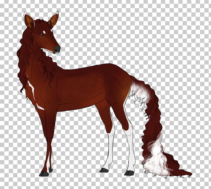 Foal Mustang Colt Stallion Mare PNG, Clipart, Animal Figure, Colt, Deer, Foal, Halter Free PNG Download