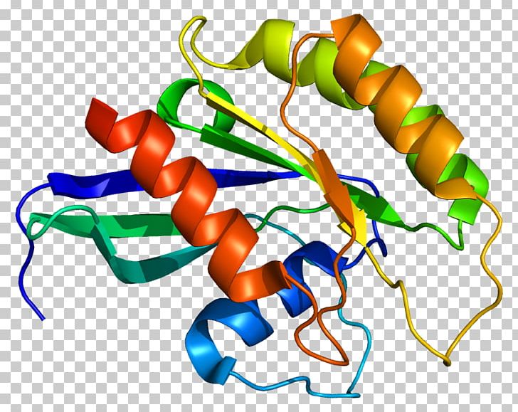 Gene G Protein Wikipedia RAB26 PNG, Clipart, 6 B, Arabic Wikipedia, Artwork, Chromosome, G 6 Free PNG Download