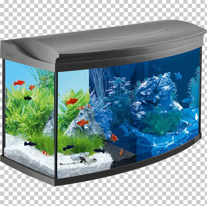 Light Tetra Aquariums Aquascaping PNG, Clipart, Air Pump, Akwarystyka Morska, Aqua, Aquarium, Aquarium Decor Free PNG Download