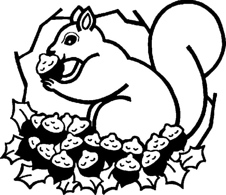 Squirrel Nut PNG, Clipart, Artwork, Black, Carnivoran, Cartoon, Dog Like Mammal Free PNG Download