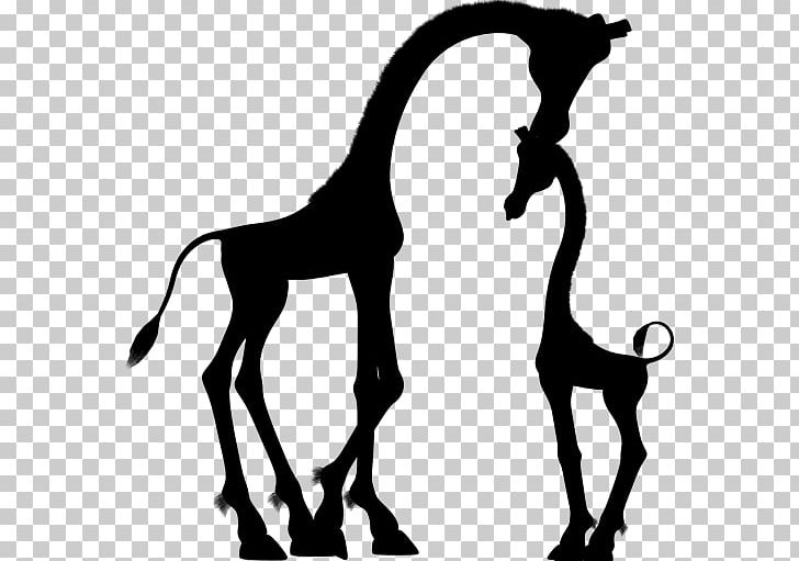 Baby Giraffes Silhouette Child PNG, Clipart, Animal, Animals, Baby Giraffes, Black And White, Child Free PNG Download