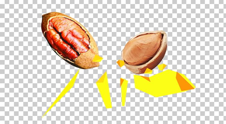 Hot Dog Pecan Junk Food Cuisine Of The United States PNG, Clipart, American Food, Broken, Cuisine Of The United States, Download, Eat Free PNG Download