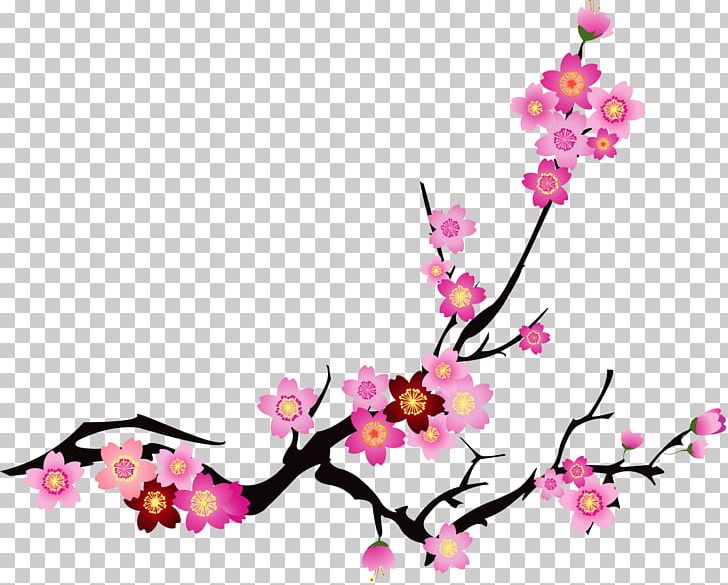 Your Moment Massage Cherry Blossom Cerasus PNG, Clipart, Blossoms Vector, Branch, Cherry, Computer Wallpaper, Flower Free PNG Download