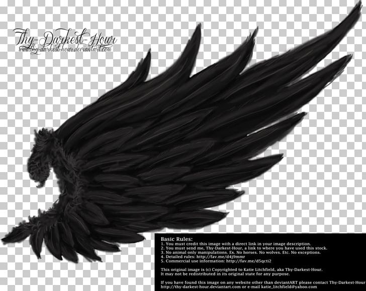 Drawing Angel Wing Photography PNG, Clipart, Angel Wing, Animals, Bird, Black And White, Black Hair Free PNG Download