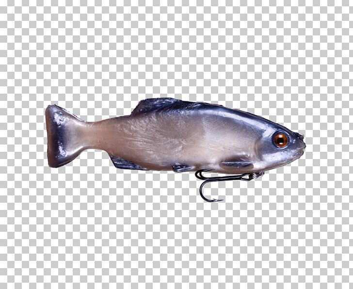 Spoon Lure Oily Fish Herring PNG, Clipart, Bait, Bream, Fish, Fishing Bait, Fishing Lure Free PNG Download