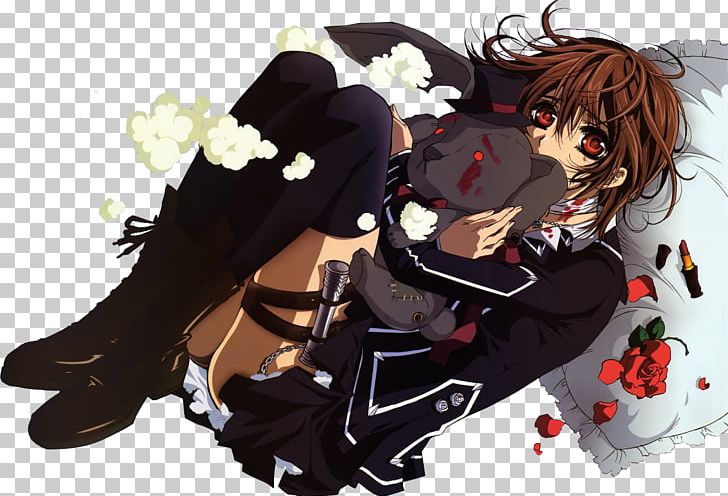 The History and Background of Vampire Knight - MyAnimeList.net