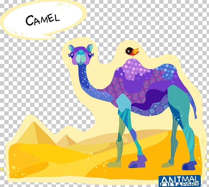 Dromedary Bactrian Camel Cartoon Drawing PNG, Clipart, Animals, Arabi, Art, Bactrian Camel, Camel Free PNG Download