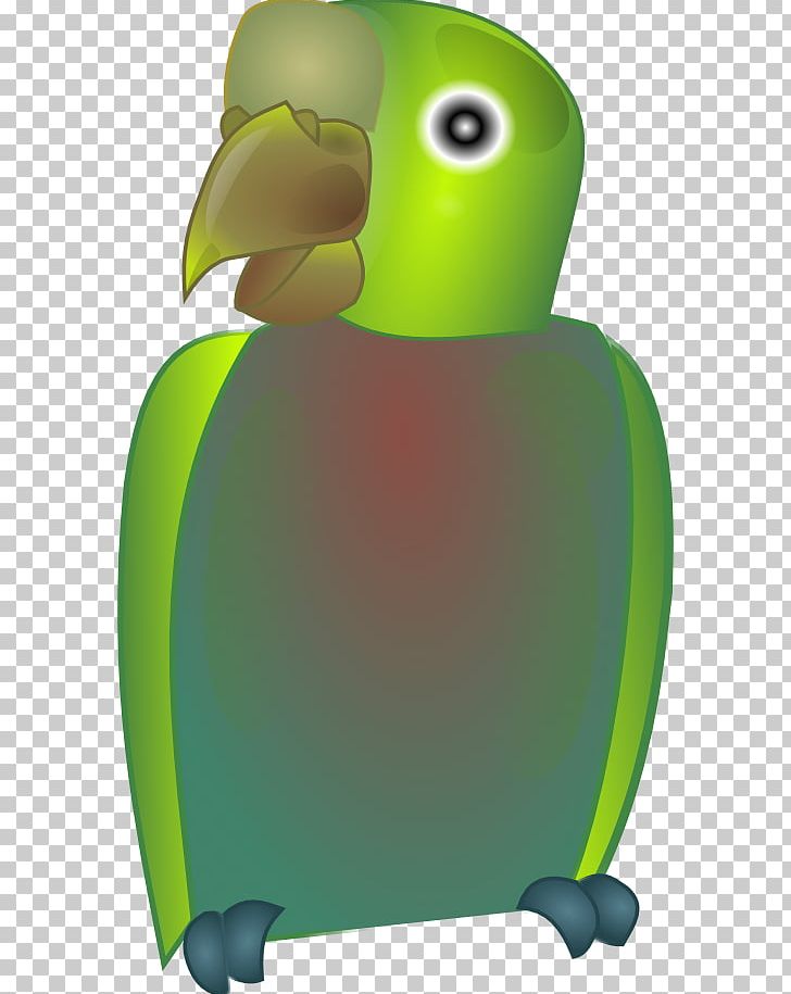 Parrot Bird Budgerigar Beak PNG, Clipart, Amphibian, Animals, Beak, Bird, Budgerigar Free PNG Download