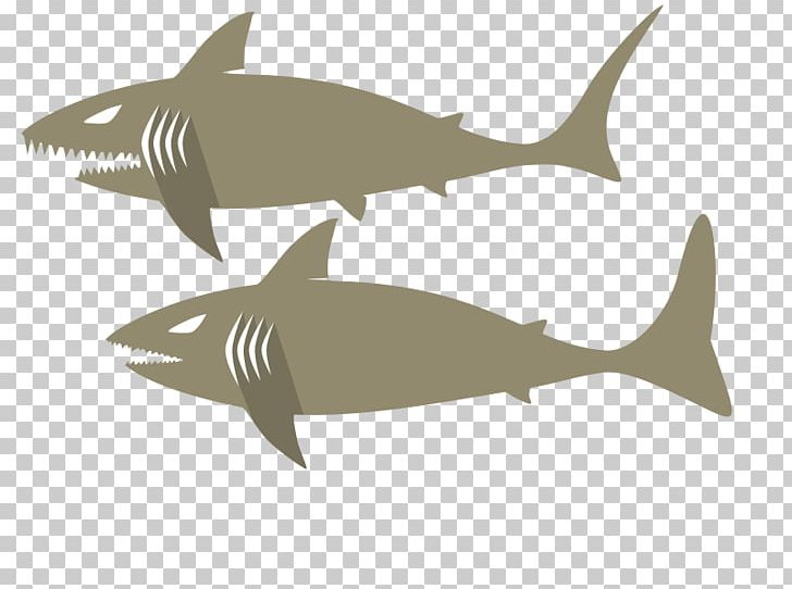 Tiger Shark Squaliform Sharks Requiem Sharks Oceanic Whitetip Shark Cartilaginous Fishes PNG, Clipart, Animals, Blacknose Shark, Carcharhinus Amblyrhynchos, Cartilaginous Fish, Drawing Free PNG Download