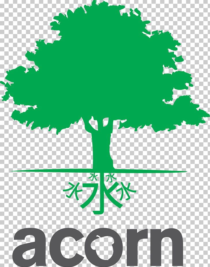 Acorn International Network Pte Ltd Business Organization Limited Company Tree PNG, Clipart, Area, Artwork, Branch, Business, Chief Executive Free PNG Download