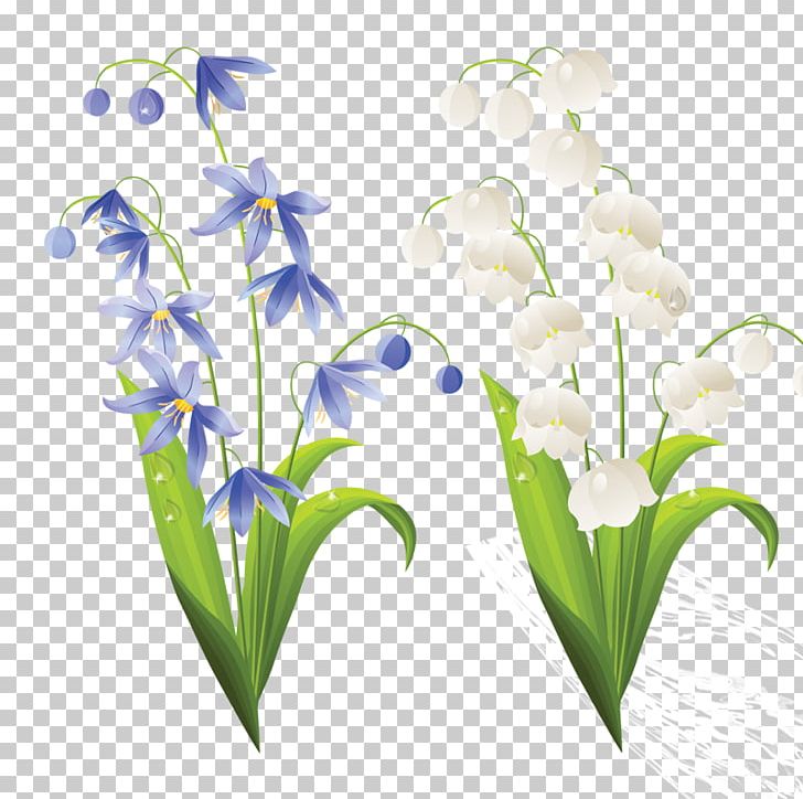 Flower Lilium PNG, Clipart, Bellflower Family, Branch, Flora, Floral Design, Flower Free PNG Download