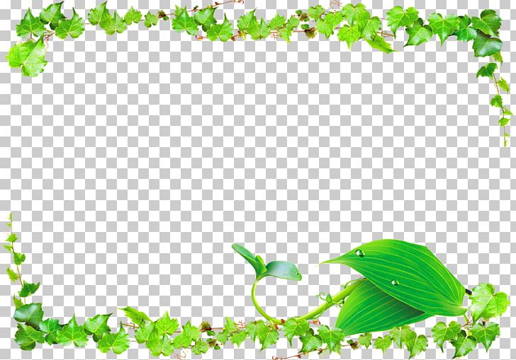 Leaf Green Vine PNG, Clipart, Banner, Border Frame, Certificate Border, Christmas Border, Creeper Free PNG Download