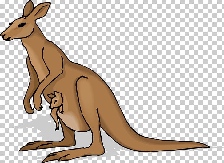 Joey Kangaroo PNG, Clipart, Animal Figure, Animals, Animation, Download, Fauna Free PNG Download