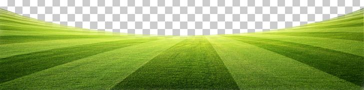 Leaf Green PNG, Clipart, Background Green, Creative, Creative Background, Grass, Grass Free PNG Download