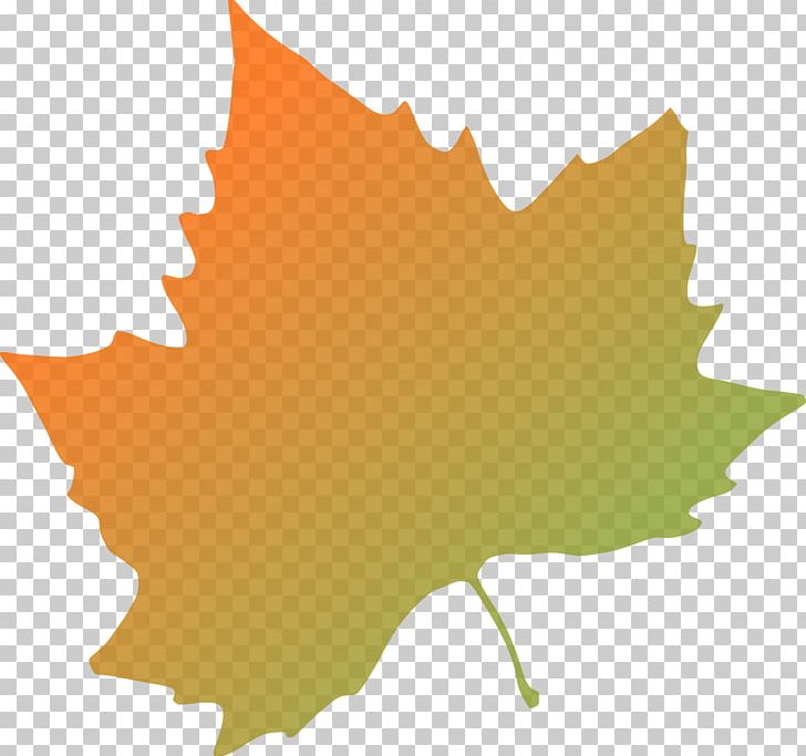 Autumn Leaf Color PNG, Clipart, Autumn, Autumn Leaf Color, Autumn Leaves, Clip Art, Color Free PNG Download