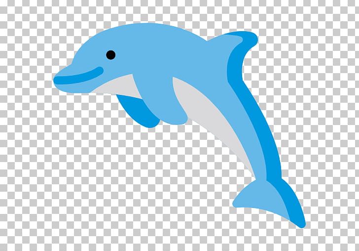 Common Bottlenose Dolphin Short-beaked Common Dolphin Tucuxi Wholphin Rough-toothed Dolphin PNG, Clipart, Animal, Animals, Azure, Blue, Building Free PNG Download