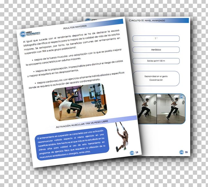 Suspension Training Strength Training Long Slow Distance High-intensity Interval Training PNG, Clipart, Brand, Brochure, Coaching, Exercise, Functional Training Free PNG Download