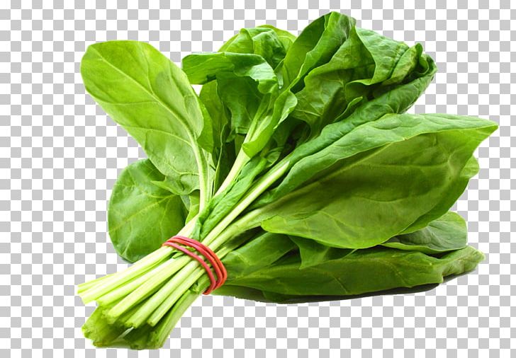 Veggie Burger Leaf Vegetable Salad Bell Pepper PNG, Clipart, Basil, Bell Pepper, Capsicum, Chard, Chia Seed Free PNG Download