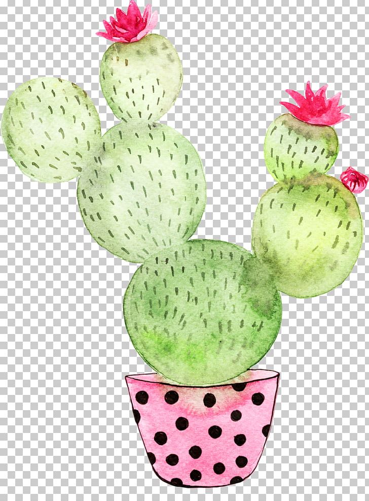 Cactaceae Poster Breakfast Under The Big Birch Cactus Garden PNG, Clipart, Art, Cactus, Cactus Cartoon, Cactus Flower, Cactus Vector Free PNG Download