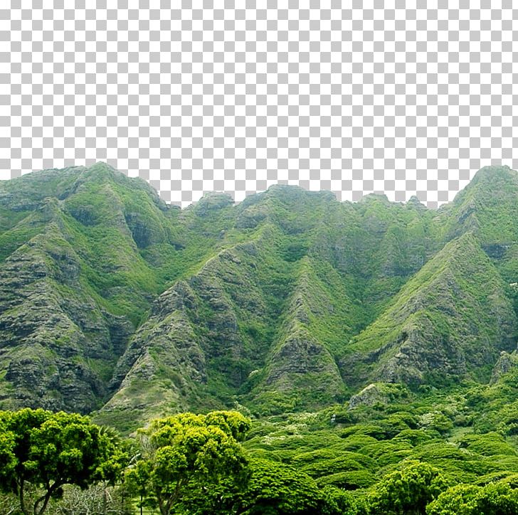 Green Mountains Lake PNG, Clipart, Biome, Color, Forest, Grass, Jungle Free PNG Download