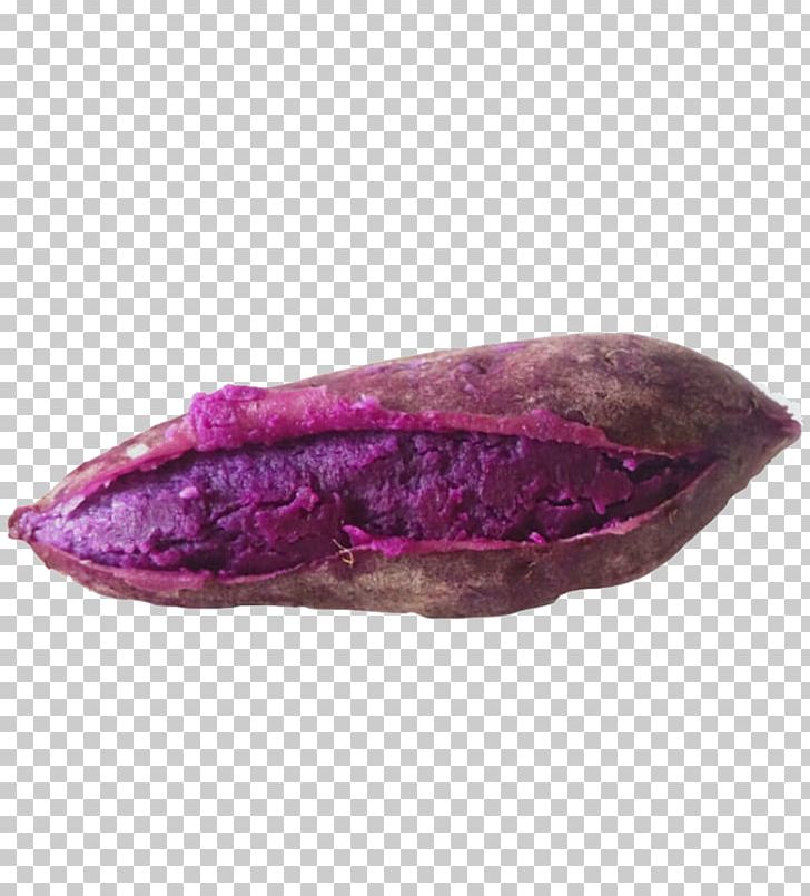 Purple Sweet Potato Dioscorea Alata PNG, Clipart, Adobe Illustrator, Crop, Dioscorea, Download, Encapsulated Postscript Free PNG Download