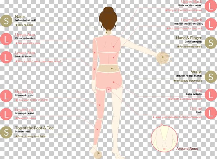 Skin Laser Hair Removal Human Body Body Hair PNG, Clipart, Anatomy, Axilla, Body Hair, Brand, Cosmetology Free PNG Download
