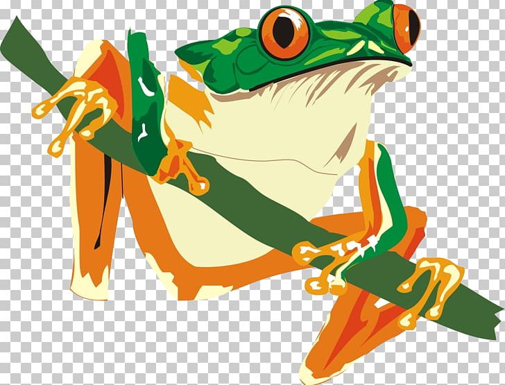 African Bullfrog Reptile Amphibian Lizard PNG, Clipart, American Bullfrog, Animal, Animals, Cartoon, Cartoon Frog Free PNG Download