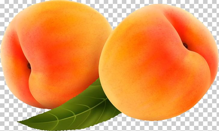 Apricot Peach Computer File PNG, Clipart, Apricot, Auglis, Com, Computer Graphics, Diet Food Free PNG Download