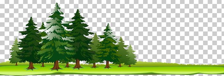 Lake Landscape PNG, Clipart, Biome, Branch, Christmas Decoration, Christmas Tree, Conifer Free PNG Download