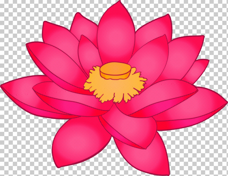 Lotus Flower PNG, Clipart, Annual Plant, Aquatic Plant, Artificial Flower, Flower, Herbaceous Plant Free PNG Download