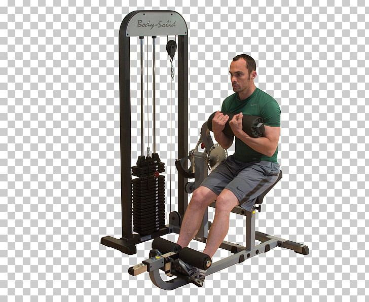Abdomen Human Back Muscle Smith Machine Weight Training PNG, Clipart, Abdo, Abdomen, Abdominal Exercise, Arm, Bench Free PNG Download