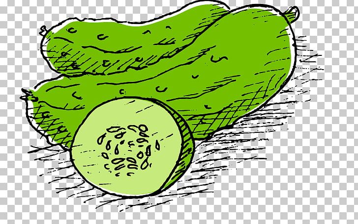 Cucumber Melon Pepino PNG, Clipart, Animation, Area, Cartoon, Cartoon Eyes, Food Free PNG Download